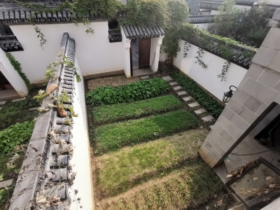 伟星公园大道和院