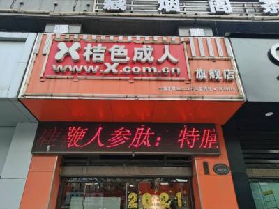 伟星左岸生活B区临街商铺南精装真实好房
