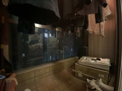 凤凰城北岛水云间