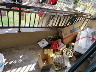 白象绿洲一期