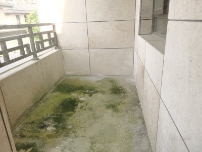 中丞国宾府