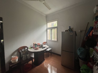 杨子山地质队