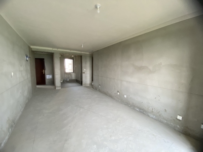 观湖居3室1厅1卫南北毛坯真实好房