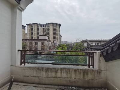 伟星公园大道和院
