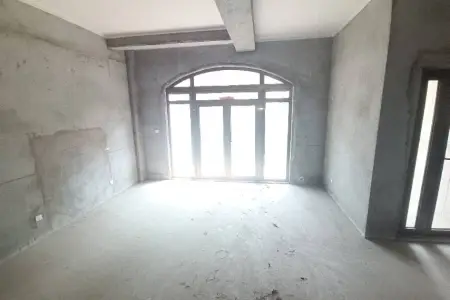 凤鸣湖公寓独栋别墅南北毛坯真实好房