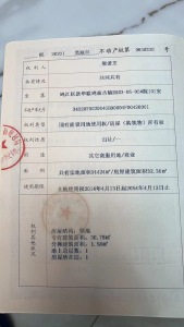 新华联鸠兹古镇