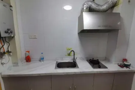 凤鸣湖·凤凰城南岛紫藤轩1房南精装真实好房