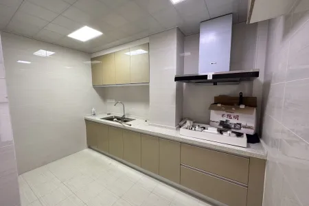 远洲公馆1房1厅1卫南精装真实好房