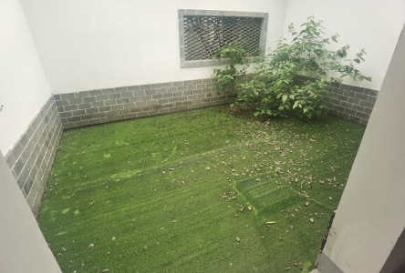 新华联西江月