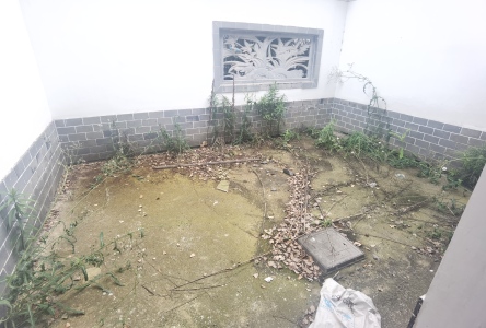 新华联西江月