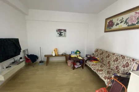 天巢广场2房1厅1卫南北中装真实好房