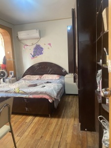 南方新村
