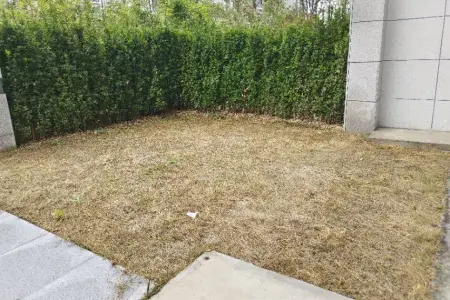 伟星政务壹号4室2厅2卫南北毛坯真实好房