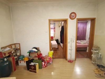 扬子山地质队