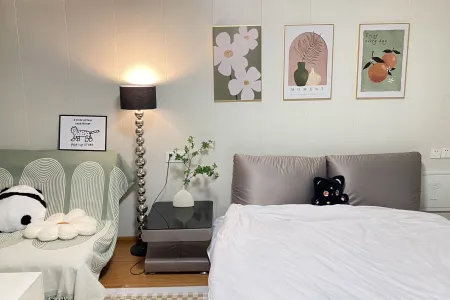 德盛广场1房东精装真实好房