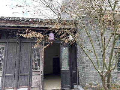 新华联鸠兹古镇