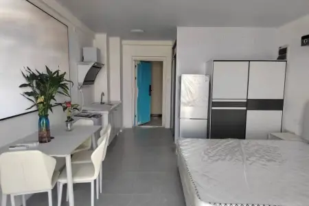  欧式田园风,豪华装修,地铁盘学区房！