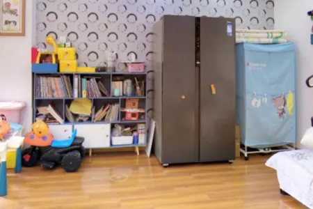 香江比华利山庄2室1厅1卫南精装真实好房