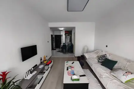 弋江嘉园三期2室2厅1卫南精装真实好房