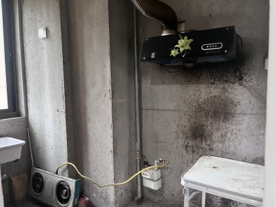 绿地新里海顿公馆