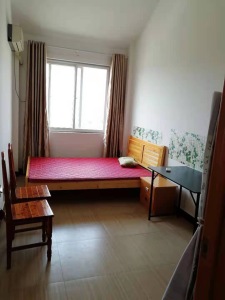 鲁港新区东区