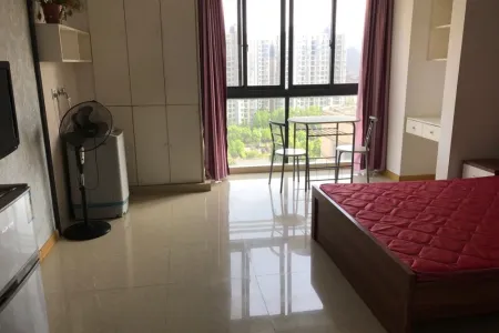 中央城财富街1房1厅1卫南精装真实好房