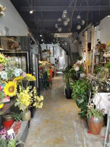 伟星公园大道壹号