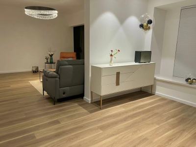 碧桂园镜湖世家