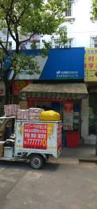 莲塘新村牡丹园