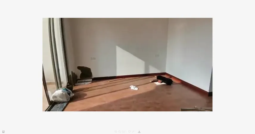 三山碧桂园双潭映月