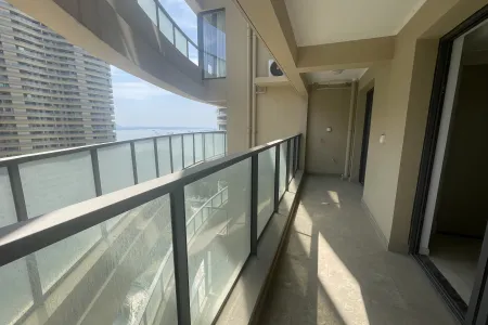 伟星长江之歌3室2厅2卫南精装真实好房