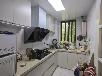 伟星公园大道北峯