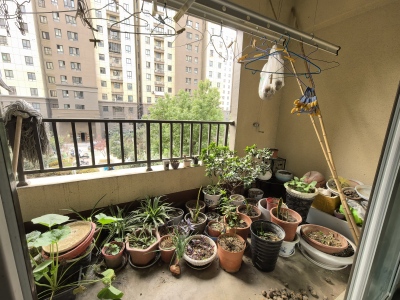 城市之光第四街区