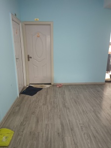 伟星公园大道北峯