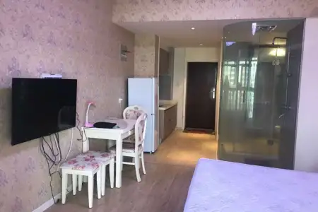 远洲公馆一房北精装真实好房