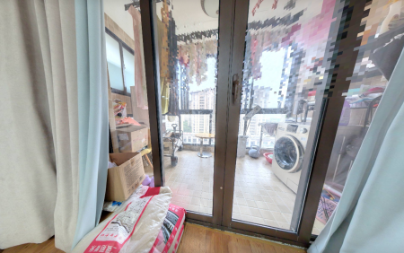 伟星公园大道北峯