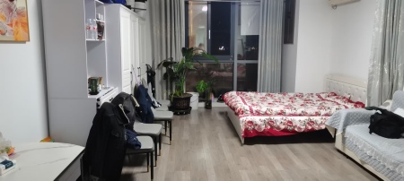 南翔万商D区1房1厅1卫南精装真实好房