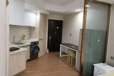 奥韵康城 1室1厅1卫 1,300元/月 满两年,采光充足,低首付