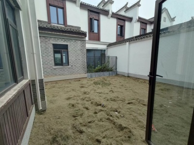 新华联鸠兹古镇