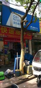 莲塘新村牡丹园