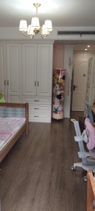 伟星公园大道北峯