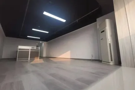 镜街商业街南中装真实好房