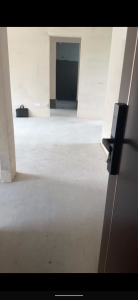 碧桂园黄金时代