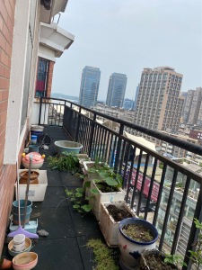 中西友好花园3房2厅2卫南精装真实好房