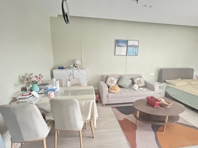 苏宁环球写字楼 1房1厅1卫 1,500元/月 南北通透,性价比高,好景观