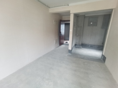 碧桂园黄金时代3室2厅1卫南北毛坯真实好房