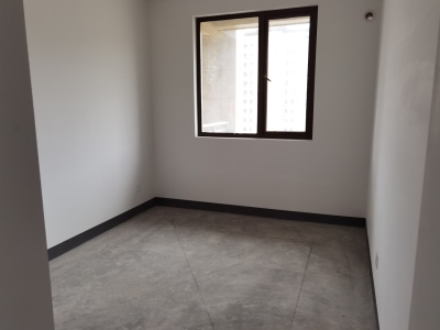 伟星公园大道北峯