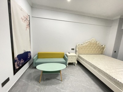 伟星万悦城 1室1厅1卫 41万 南北通透,三证齐全,采光充足