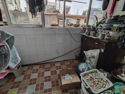 新建村