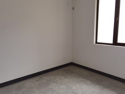 伟星公园大道北峯